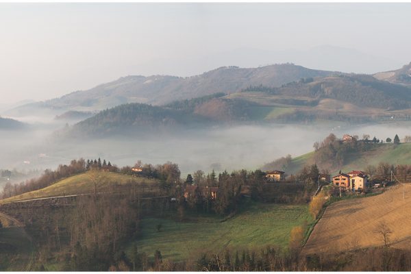 Misty Morning in Urbino by Lynne Cameron