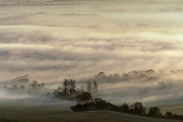 Morning Mist Rolling over the South Downs by Derek Winsor