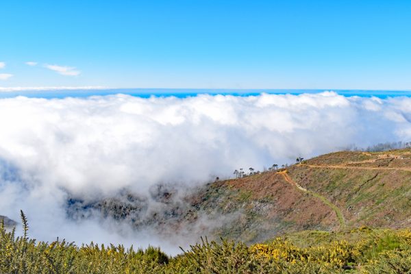 A Madeira view from above the white billowing clouds