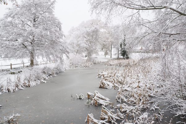 A Winter's Scene Turners Hill by Ian Hacke